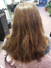 Dark Color Cutting Edge Storden MN